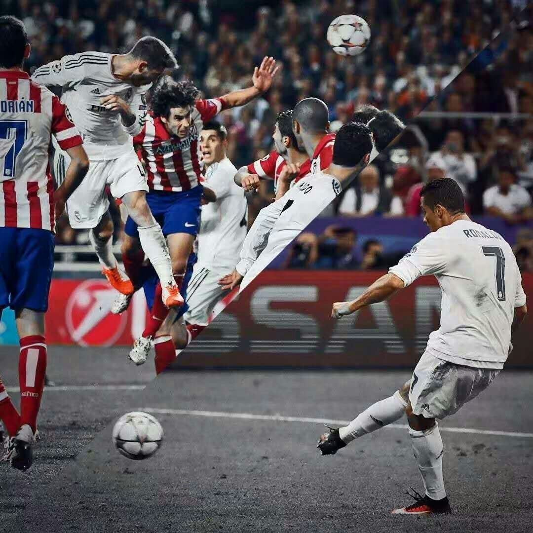 沧州雄狮的 沧州雄狮的